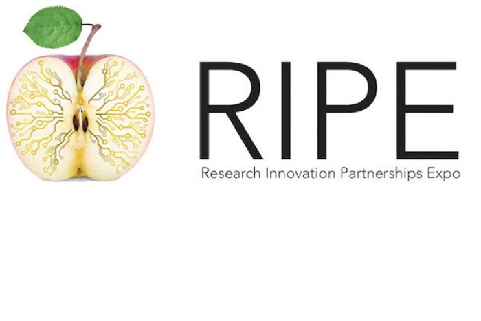 Research Innovation Partnership Expo logo