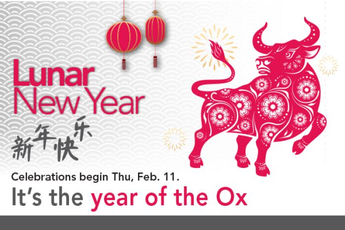 A silhouette of a red ox stands on a white background with text overlain saying "Lunar New Year celebrations begin Thursday, Feb. 11. It's the year of the Ox"