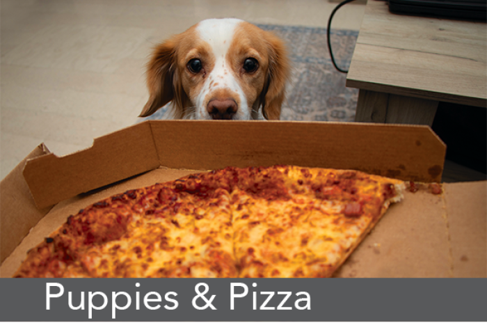 Dog eyeing up a pizza; text: Puppies & Pizza