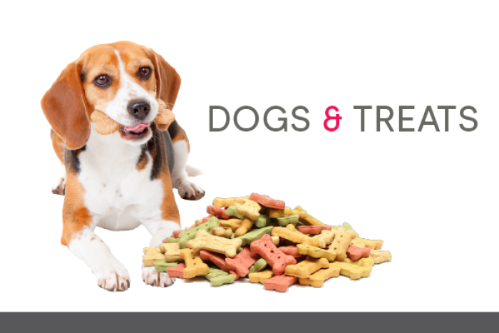 Photo of a dog standing next to a pile of dog treats