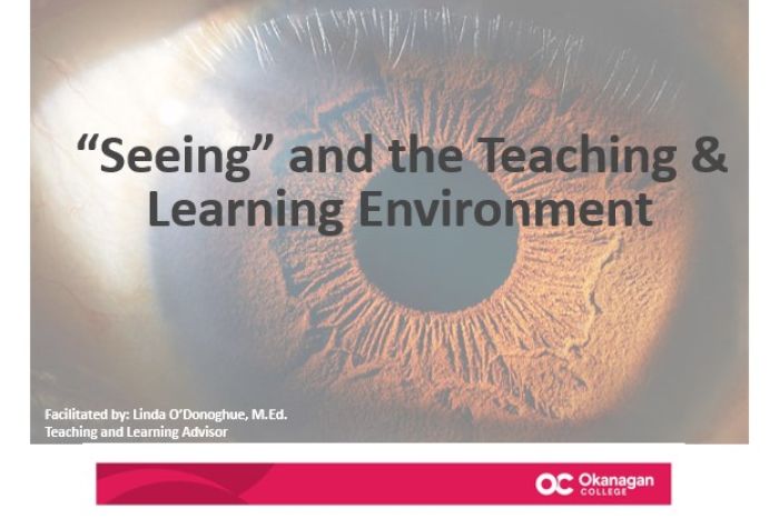 Poster with a picture of a brown eye. The poster reads "Seeing" and the teaching and learning environment.
