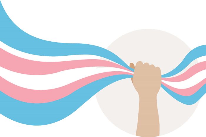 a hand holding a transgender flag