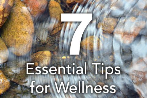 Essential Tips for Wellness graphic