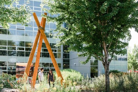 Story poles have been erected in the indigenous garden outside of the Centre for Learning Building