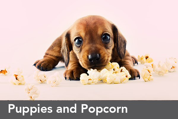 Puppy with popcorn; text: Puppies and Popcorn