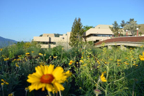 Vernon Campus with Sunflowers