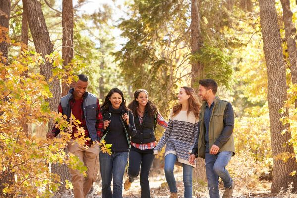 Students hiking with fall leaves on trees