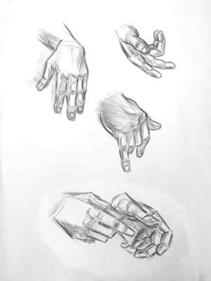 Life drawing sketches of hands in different positions