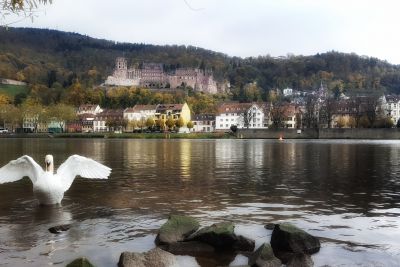 Philosopher's Way winter walk in Heidelberg, Germany